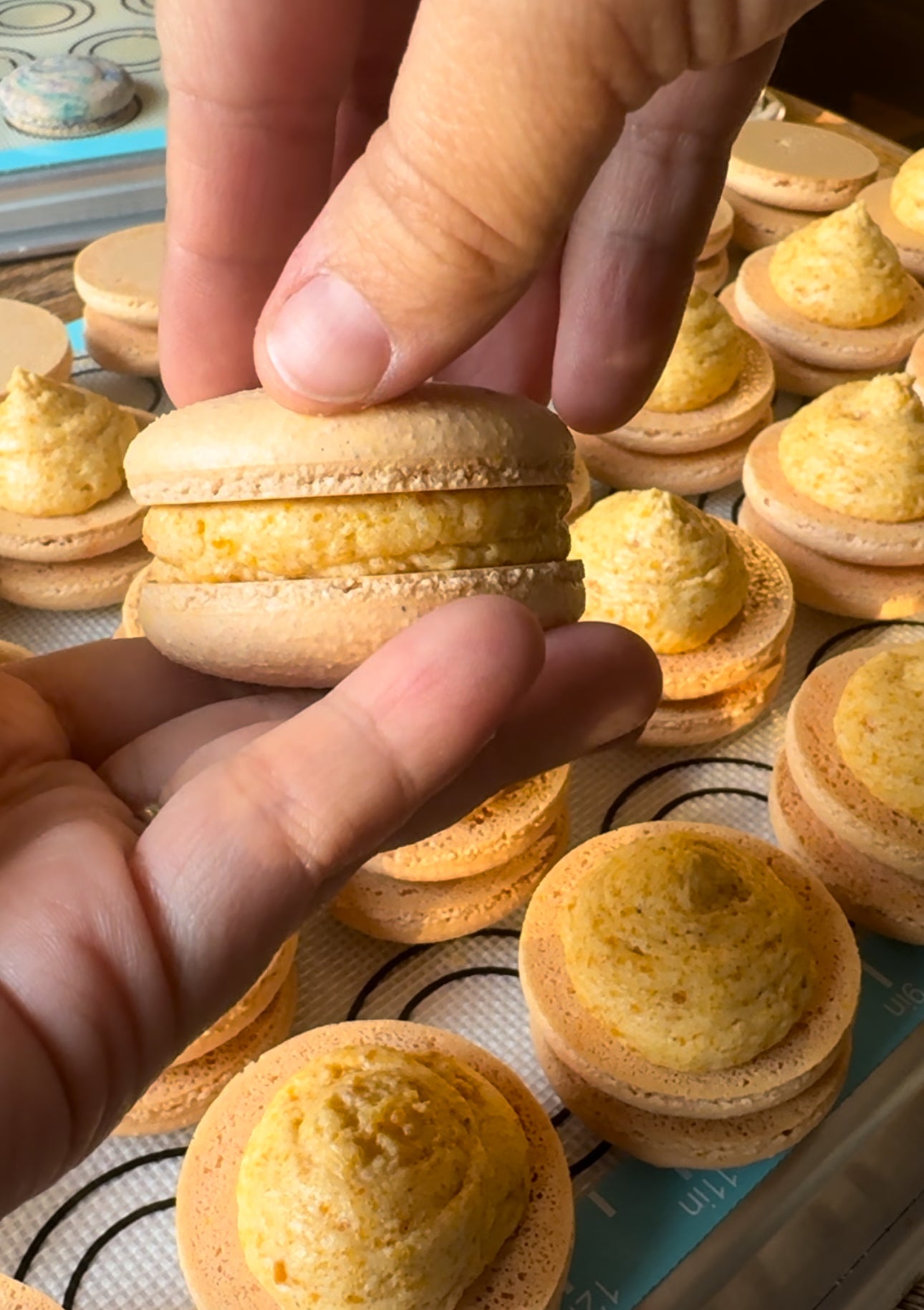 Pumpkin Roll Macaron